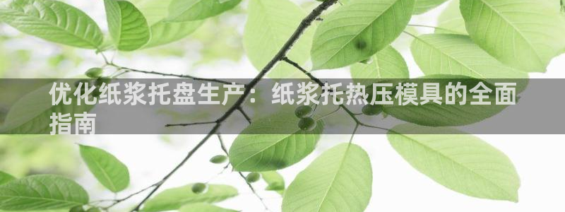 易倍单词app下载：优化纸浆托盘生产：纸浆托热压模具的全
