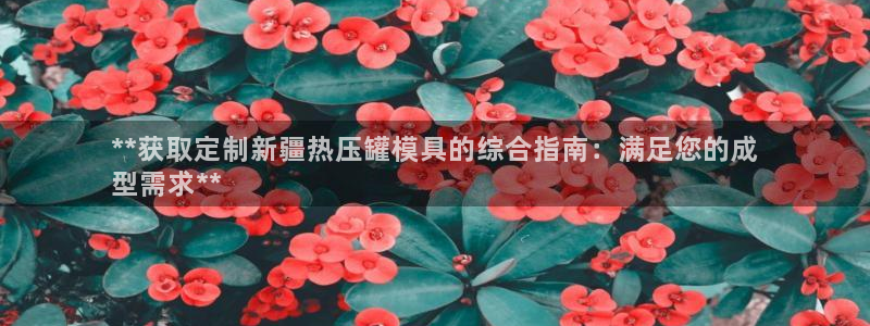 易倍思教育：**获取定制新疆热压罐模具的综合指南：满足您