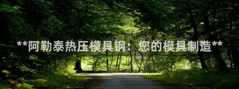 易倍申片说明书：**阿勒泰热压模具钢：您的模具制造**