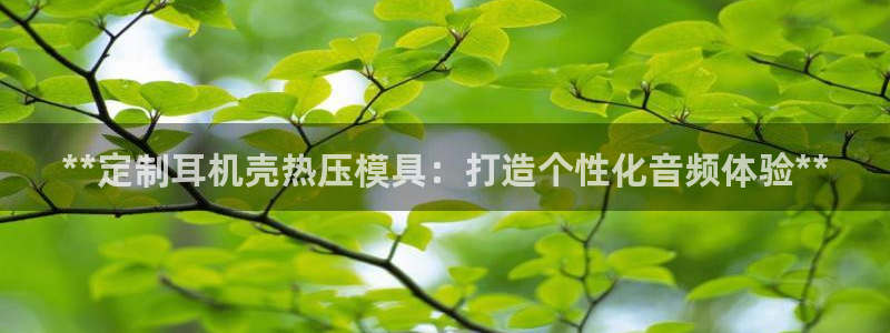 易倍纤瘦身三部曲的价格：**定制耳机壳热压模具：打造个性