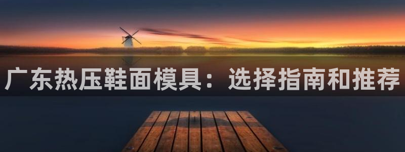 易倍申片的功效与作用：广东热压鞋面模具：选择指南和推荐