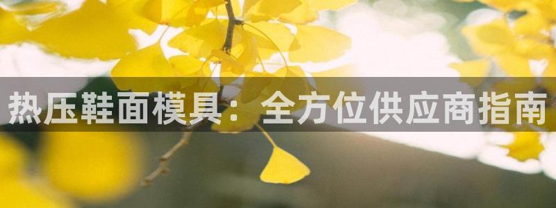 emc低频不过：热压鞋面模具：全方位供应商指南