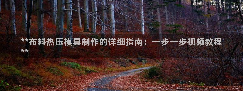 易倍申不良反应：**布料热压模具制作的详细指南：一步一步