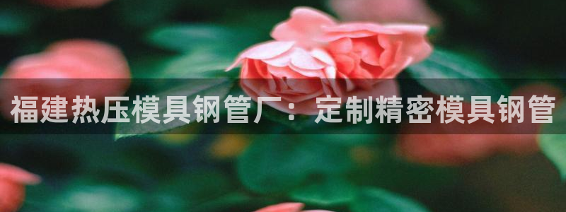 emc易贝体育怎么样：福建热压模具钢管厂：定制精密模具钢