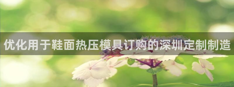 emc易倍老板：优化用于鞋面热压模具订购的深圳定制制造