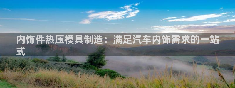 北京易倍思教育怎么样：内饰件热压模具制造：满足汽车内饰需