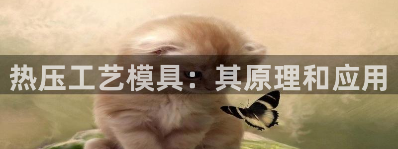 emc易倍首存500送球衣：热压工艺模具：其原理和应用