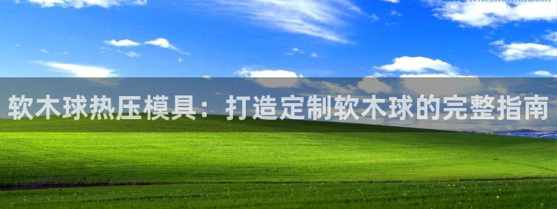 emc易倍官方平台：软木球热压模具：打造定制软木球的完整