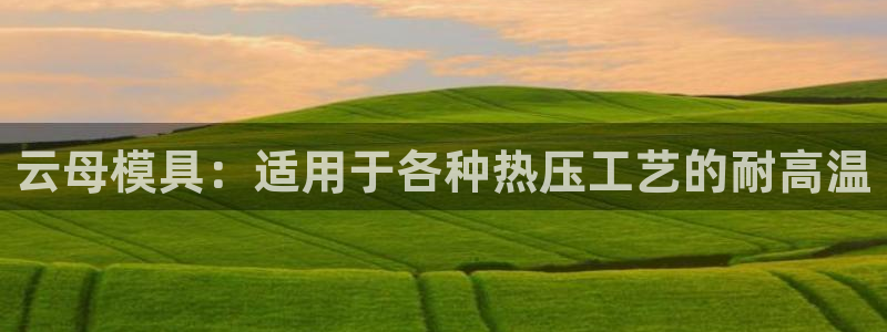 易倍申多少钱一盒：云母模具：适用于各种热压工艺的耐高温