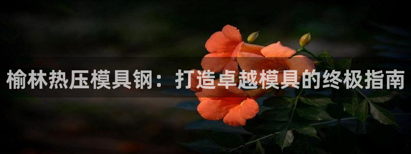 易倍纤代餐奶昔怎么样：榆林热压模具钢：打造卓越模具的终极