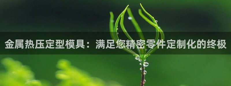 emc32软件安装：金属热压定型模具：满足您精密零件定制