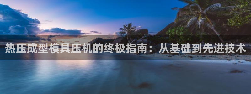 易倍申多少钱一盒：热压成型模具压机的终极指南：从基础到先