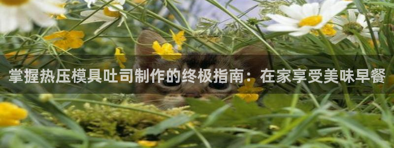 emc易倍首页：掌握热压模具吐司制作的终极指南：在家享受