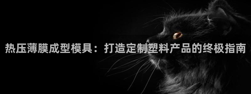 易倍单词官方网站的：热压薄膜成型模具：打造定制塑料产品的