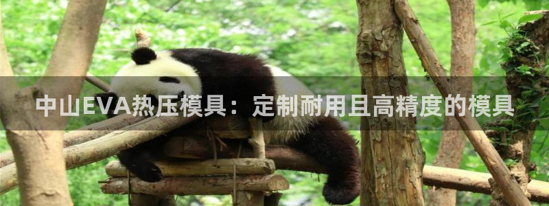 易倍电竞,有球必应：中山EVA热压模具：定制耐用且高精度
