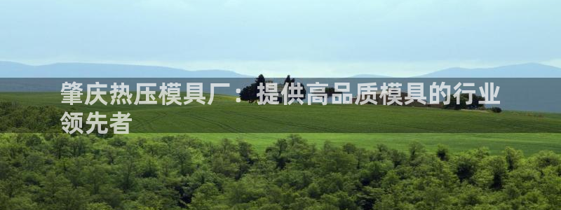 易倍app官网下载安装：肇庆热压模具厂：提供高品质模具的