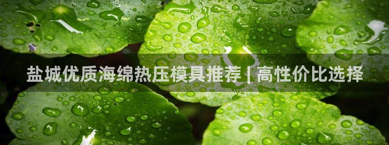 emc易倍ios官网：盐城优质海绵热压模具推荐 | 高性
