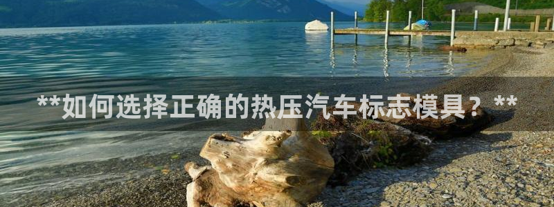 emc易倍官网app：**如何选择正确的热压汽车标志模具