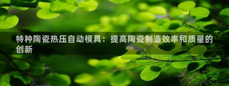易倍纤酵素效果好吗：特种陶瓷热压自动模具：提高陶瓷制造效