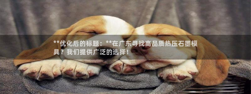 emc易倍官网app：**优化后的标题：**在广东寻找高