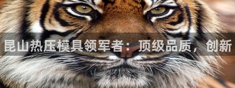 易倍纤能减肥吗：昆山热压模具领军者：顶级品质，创新