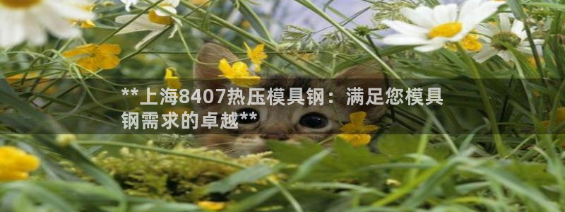 emc32软件：**上海8407热压模具钢：满足您模具
