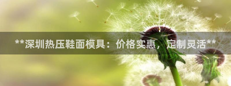易倍申片能长期服用吗：**深圳热压鞋面模具：价格实惠，定