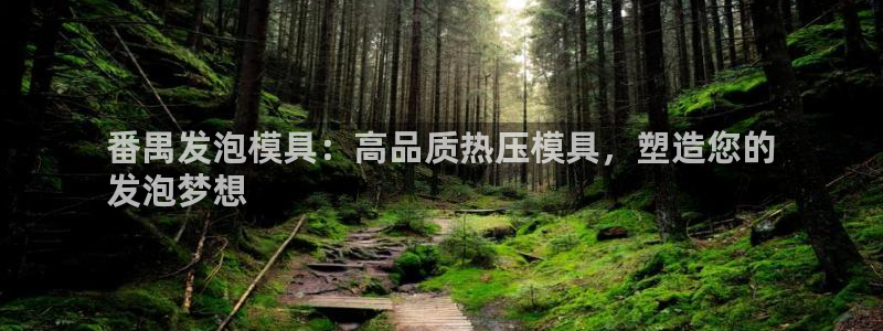 emc易赔：番禺发泡模具：高品质热压模具，塑造您的
发泡