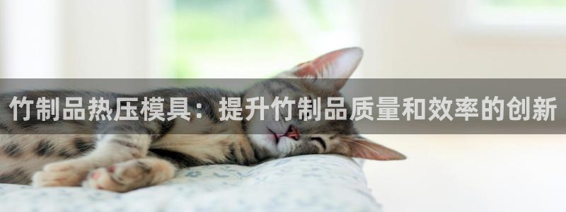 emc软件下载：竹制品热压模具：提升竹制品质量和效率的创