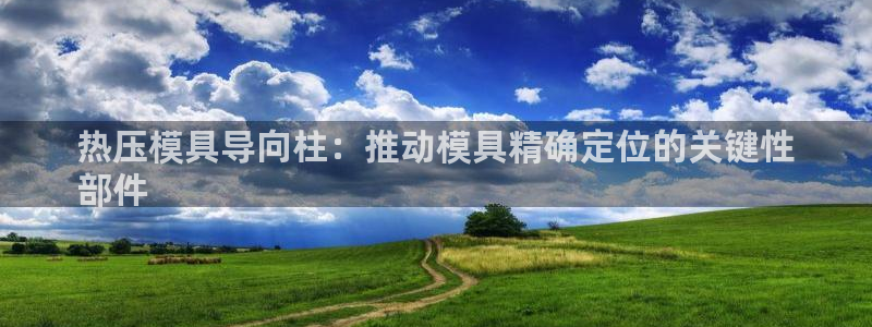 易倍申怎么样：热压模具导向柱：推动模具精确定位的关键性
