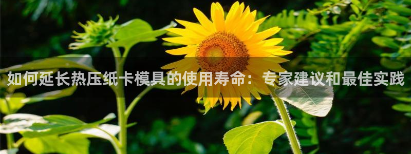 易倍企业管理软件怎么样：如何延长热压纸卡模具的使用寿命：