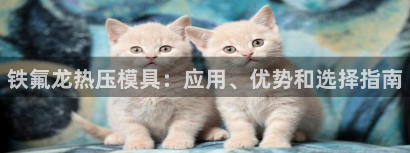 易倍纤减肥反弹不：铁氟龙热压模具：应用、优势和选择指南