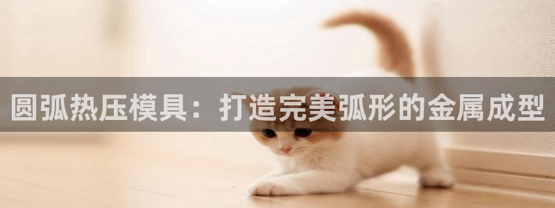 emc易倍官网：圆弧热压模具：打造完美弧形的金属成型
