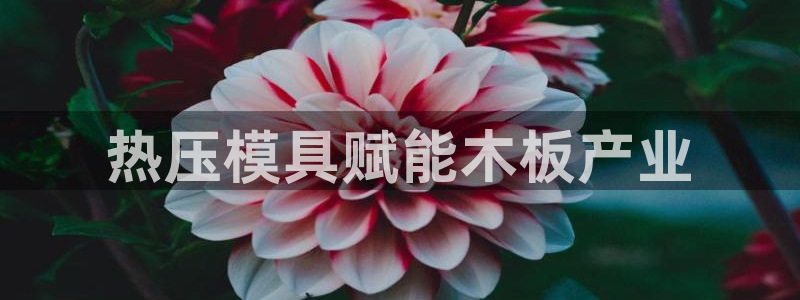 emc易倍是黑台子吗：热压模具赋能木板产业
