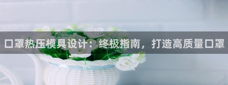 易倍单词官方网站下载：口罩热压模具设计：终极指南，打造高