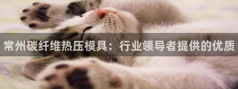 易倍电竞,有球必应：常州碳纤维热压模具：行业领导者提供的