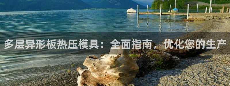 易倍网络技术有限公司招聘：多层异形板热压模具：全面指南，