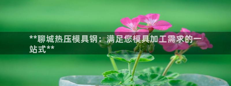 易倍申的包装规格：**聊城热压模具钢：满足您模具加工需求