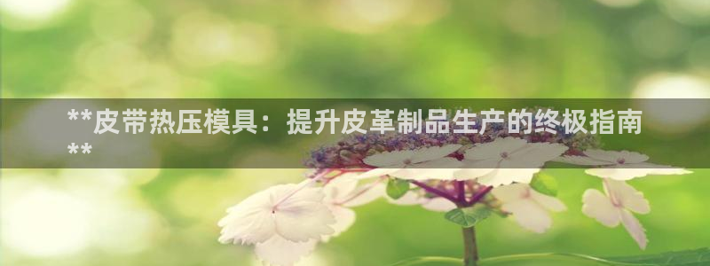 易倍纤能减肥吗：**皮带热压模具：提升皮革制品生产的终极