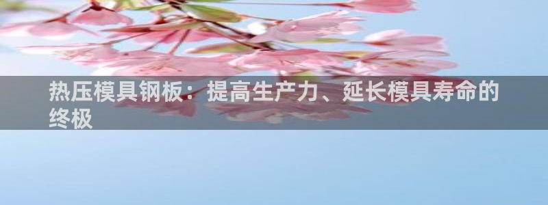 易倍纤代餐奶昔怎么样：热压模具钢板：提高生产力、延长模具