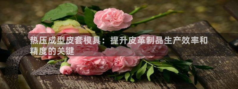 emc易倍出空款：热压成型皮套模具：提升皮革制品生产效率