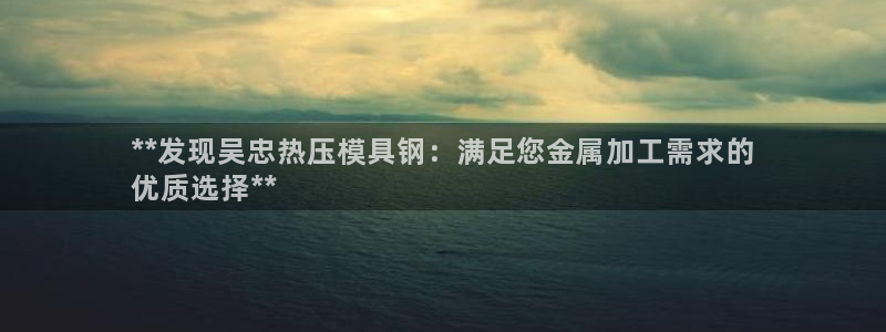 四川易倍易企业管理有限公司：**发现吴忠热压模具钢：满足
