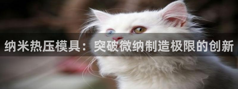 emc易倍老板：纳米热压模具：突破微纳制造极限的创新