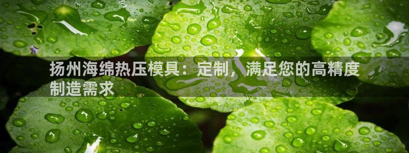 易倍申的包装规格：扬州海绵热压模具：定制，满足您的高精度