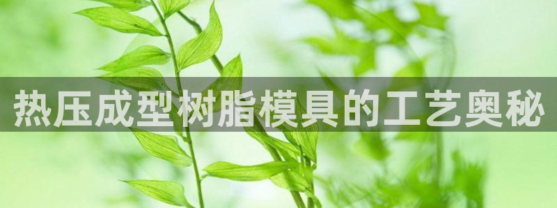 emc mcu：热压成型树脂模具的工艺奥秘