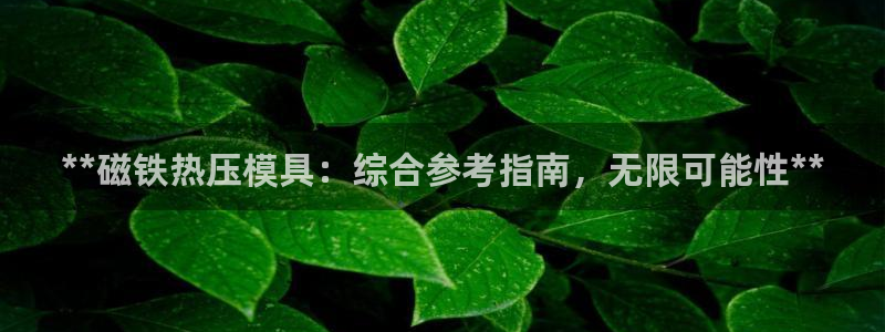 易倍纤使用方法：**磁铁热压模具：综合参考指南，无限可能
