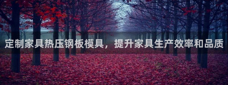 emc易倍官网app官网：定制家具热压钢板模具，提升家具