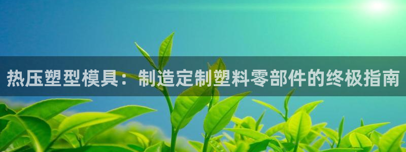 易倍纤多少钱：热压塑型模具：制造定制塑料零部件的终极指南