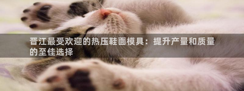 易倍纤代餐奶昔怎么样：晋江最受欢迎的热压鞋面模具：提升产