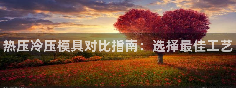 易倍emc全站：热压冷压模具对比指南：选择最佳工艺